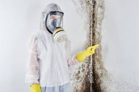 Professional Mold Removal Services in Finley, WA